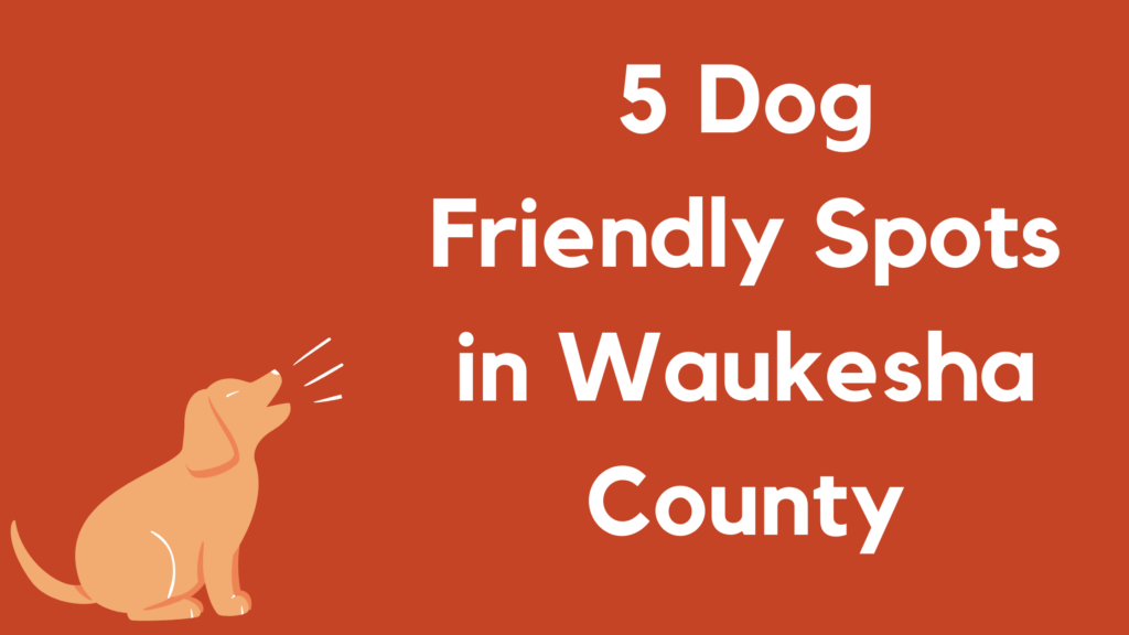 5 of the Best Dog Friendly Spots in Waukesha County Ocon Realty